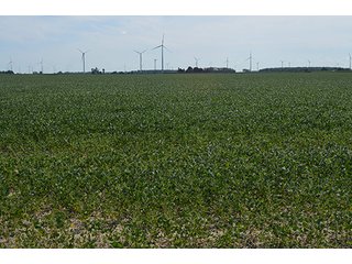 Property photo 4 - 233 +/- Acres Offered in 3 Tracts, Ohio Land Auction